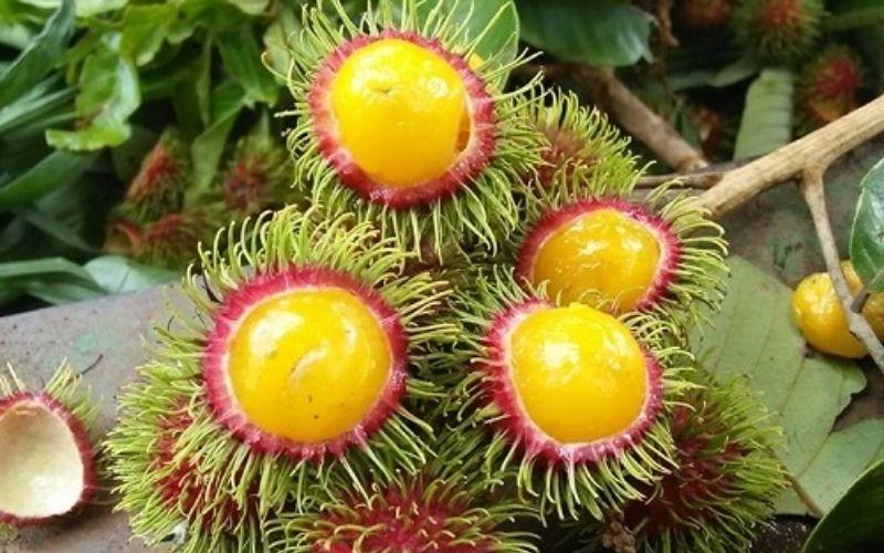 Chôm chôm ruột vàng hiện diện rộng rãi tại Việt Nam, với hương vị độc đáo khiến người thưởng thức phải vừa bất ngờ, vừa mê mẩn.