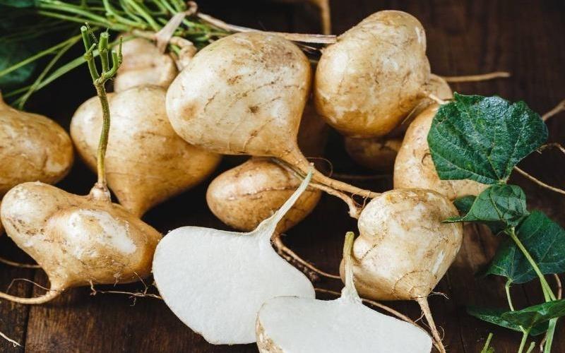 Củ sắn (củ đậu) chứa bao nhiêu calo? Ăn củ sắn có ảnh hưởng đến cân nặng hay không?