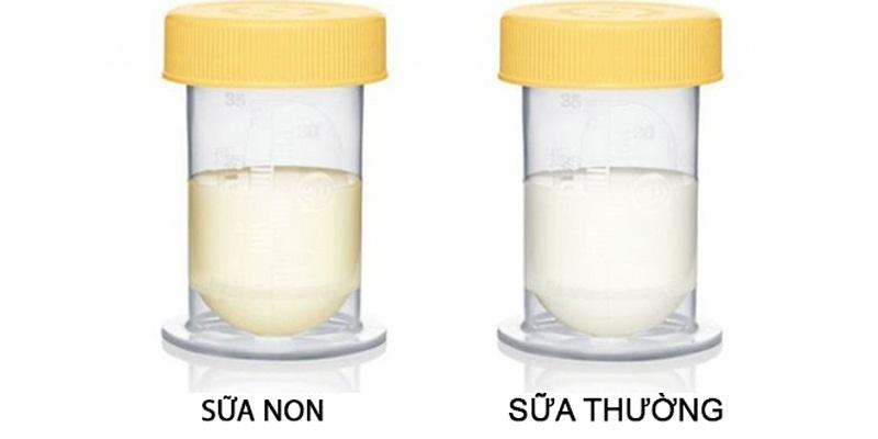 Công dụng vượt trội của Colostrum
