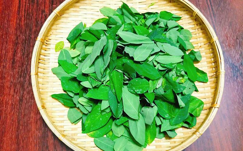 Ít ai biết được rằng nước ép rau ngót mang lại nhiều lợi ích cho sức khỏe, là một nguồn dinh dưỡng tự nhiên tuyệt vời mà chúng ta nên khám phá.