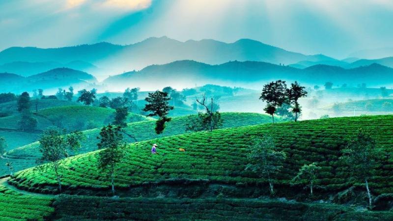 Khám phá 5 điểm đến hấp dẫn tại Lâm Thao (Phú Thọ) dành cho những người lần đầu trải nghiệm