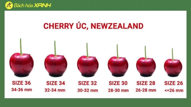 Khám phá cách phân biệt kích thước Cherry - Bí quyết chọn Cherry ngon dựa trên kích cỡ từng quả.