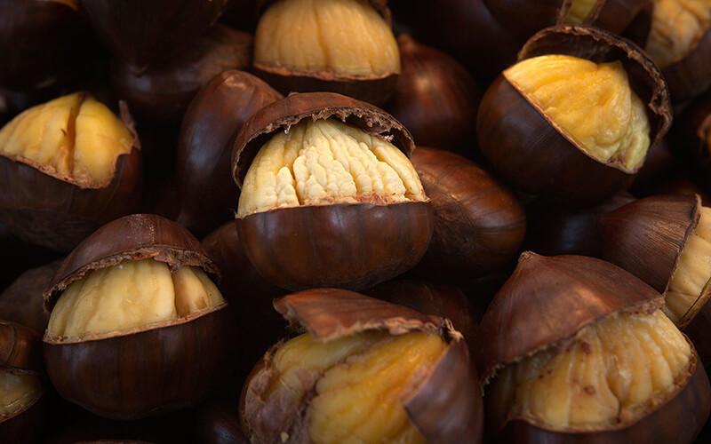 Hạt Chestnut là gì và những lợi ích tuyệt vời của nó đối với sức khỏe