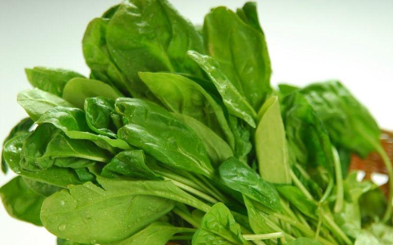 Cải bó xôi không chỉ giúp cải thiện sức khỏe mà còn là phương pháp tuyệt vời để làm đẹp. Việc sử dụng cải bó xôi thường xuyên sẽ giúp làn da bạn trở nên tươi sáng và khỏe mạnh hơn.