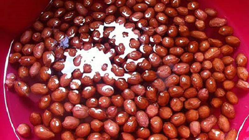 Khám phá 2 cách làm đậu phộng da cá giòn tan, thơm ngon ngay tại nhà, để làm hài lòng mọi thành viên trong gia đình.