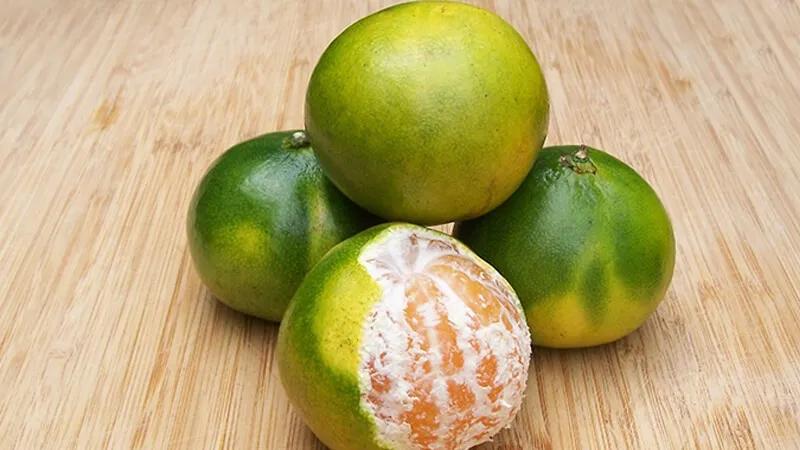 Quýt có bao nhiêu giống? Lợi ích và cách chọn quýt ngon
