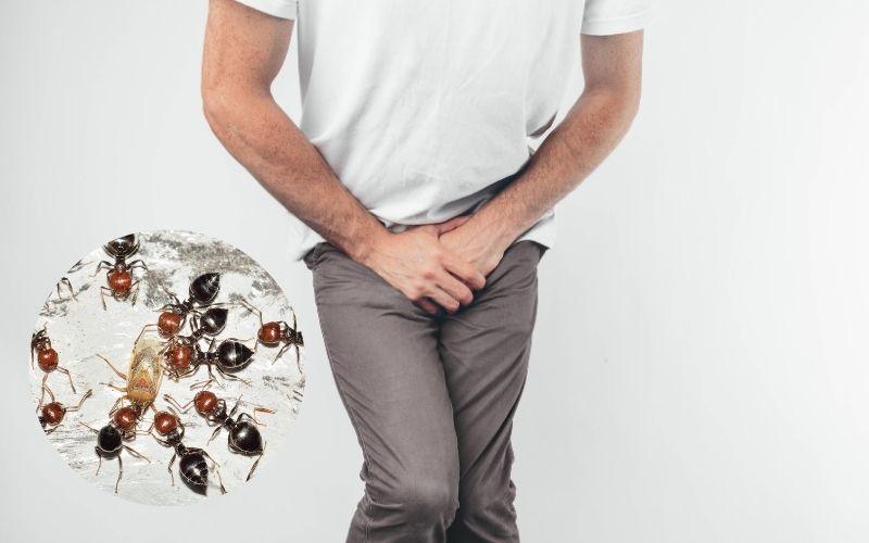 Giải mã thắc mắc: Liệu quần lót bị kiến bu có phải là dấu hiệu của bệnh tiểu đường?