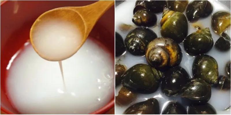 Công thức nấu bún ốc Hà Nội đậm đà, thơm ngon chuẩn vị thủ đô