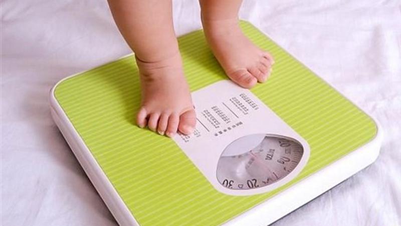 Thực đơn dễ ăn, ngon miệng và giúp bé 2 tuổi tăng cân nhanh chóng