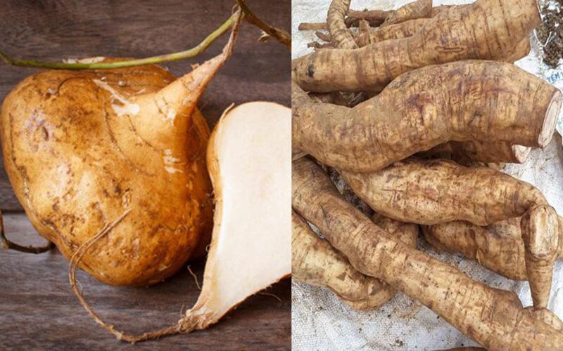 Củ sắn và củ sắn dây liệu có phải là một?