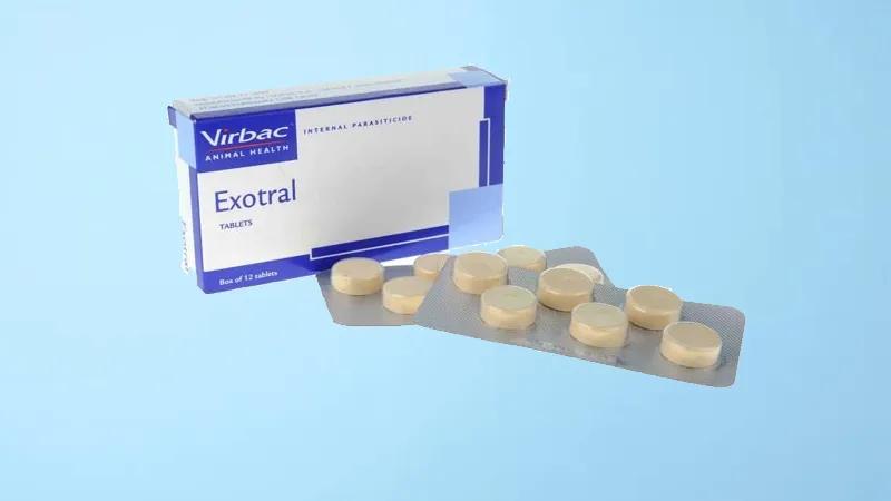 7 loại thuốc tẩy giun cho mèo hiệu quả và an toàn nhất, bảo vệ sức khỏe thú cưng
