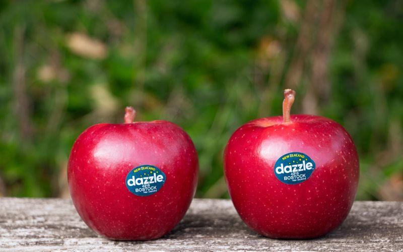Táo Dazzle là một giống táo đặc biệt với hương vị thơm ngon và vẻ ngoài bắt mắt. Bạn có biết giá táo Dazzle là bao nhiêu và nơi bán loại táo này không? Hãy cùng khám phá!