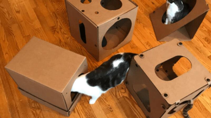 Hướng dẫn làm ổ ngủ cho mèo ấm áp và tiện nghi