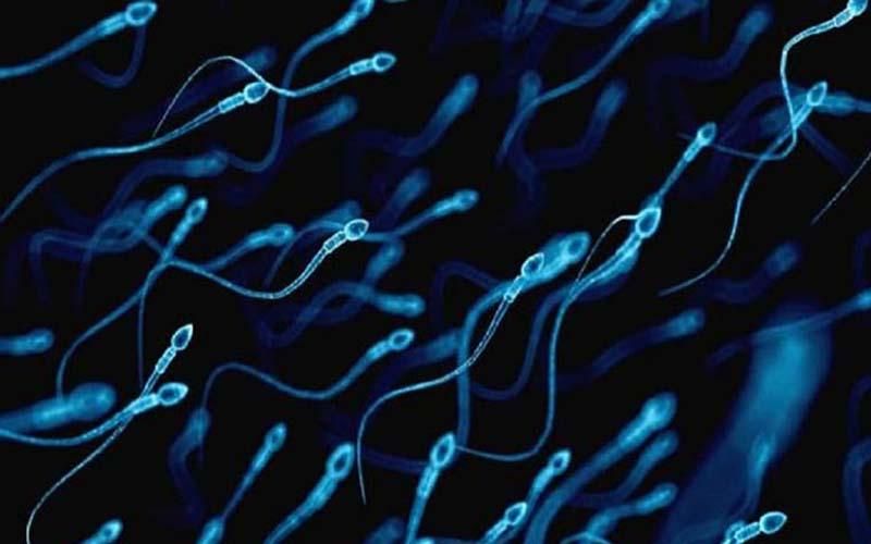 Dưới đây là những lý do thuyết phục nam giới nên ăn chuối mỗi ngày để cải thiện sức khỏe và sinh lực.