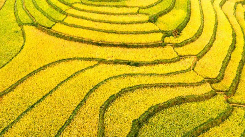 Tháng 10, mùa vàng tuyệt vời để khám phá những điểm đến du lịch hấp dẫn. Hãy cùng khám phá những nơi tuyệt vời mà bạn không thể bỏ qua trong tháng này.