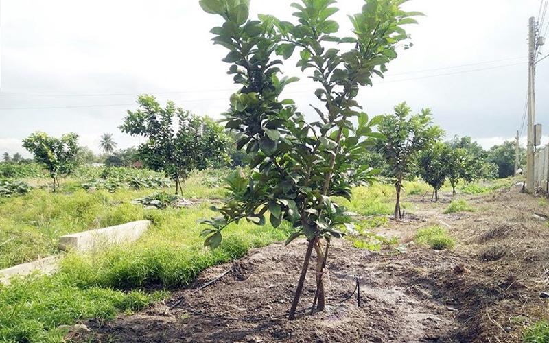 Khám phá 10 kiểu tóc xinh xắn và cách thực hiện dễ dàng cho bé gái 2 tuổi, tạo nên vẻ ngoài vừa dễ thương lại đầy ngây thơ.