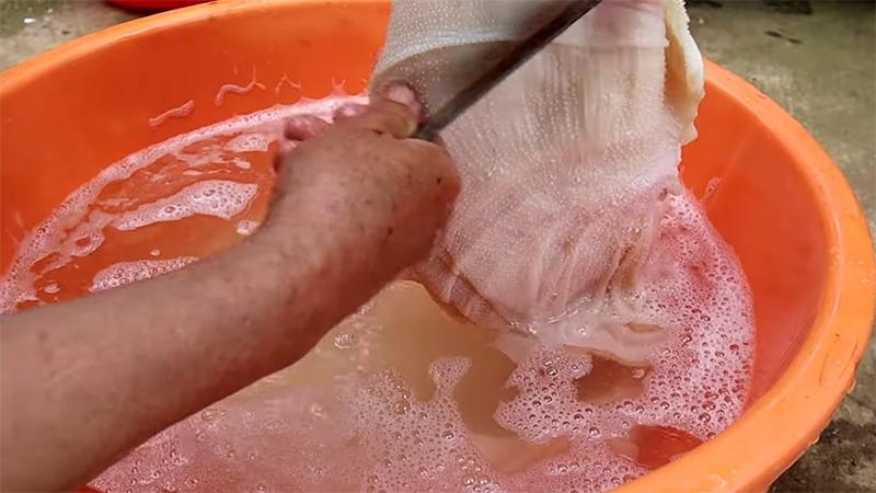 Cách sơ chế lá lách bò một cách nhanh chóng và hiệu quả