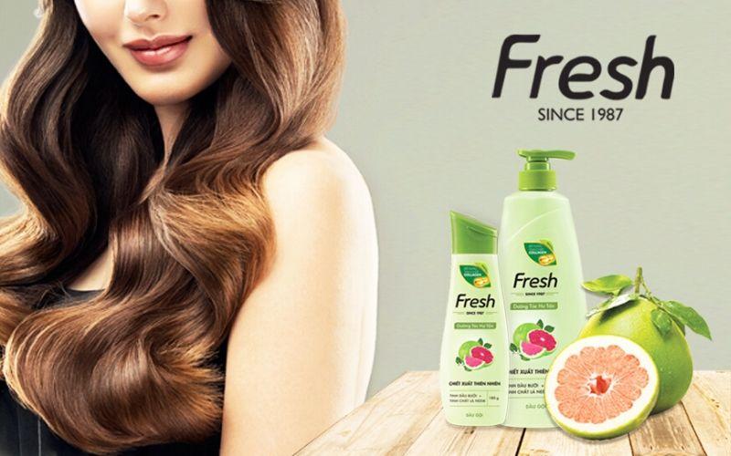 Top những loại dầu gội trị rụng tóc hiệu quả, giúp bạn đánh bay nỗi lo hói đầu và mang lại mái tóc dày khỏe.