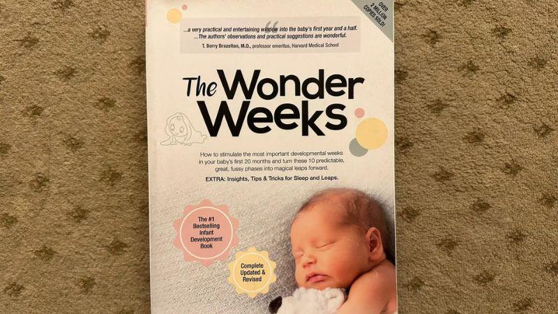 Wonder Weeks là gì? Những cột mốc quan trọng trong hành trình phát triển của trẻ nhỏ