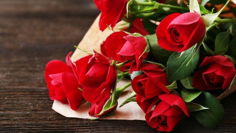 Khám phá 20+ loài hoa tuyệt đẹp, mang ý nghĩa sâu sắc, là lựa chọn hoàn hảo để tặng mẹ hoặc người yêu trong dịp sinh nhật, thể hiện tình cảm và sự trân trọng.