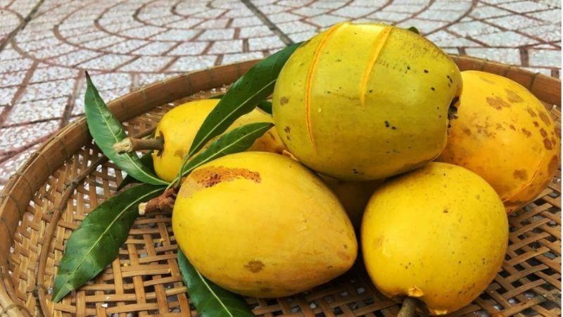 Khám phá nguồn gốc, đặc điểm và ý nghĩa của cây trứng gà, một loại cây quen thuộc nhưng ẩn chứa nhiều điều thú vị, mang lại những giá trị to lớn cho đời sống con người.
