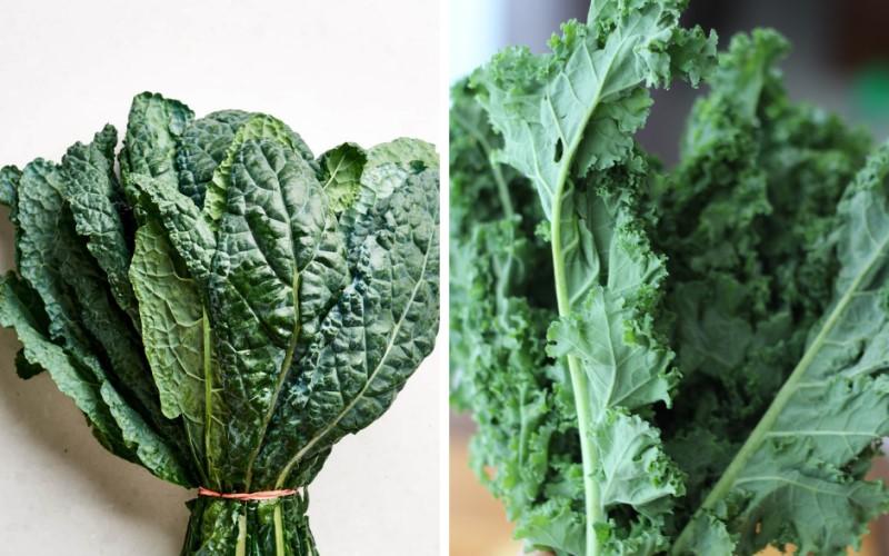 Bé bao nhiêu tuổi có thể ăn cải kale? Khám phá 9 món ăn từ cải kale cho bé yêu