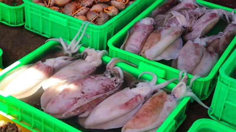 Mực tươi không chỉ là món ăn hấp dẫn mà còn là nguồn cung cấp nhiều dưỡng chất thiết yếu cho sức khoẻ, đặc biệt với các tác dụng chữa bệnh đầy bất ngờ.
