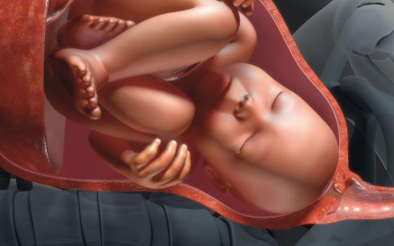 Đau rốn khi mang thai có phải là dấu hiệu đáng lo ngại? Cùng tìm hiểu cách giảm cơn đau hiệu quả và bảo vệ sức khỏe mẹ bầu.