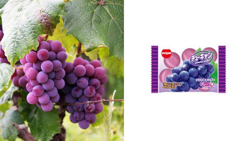 Khám phá 5 thương hiệu kẹo dẻo trái cây Nhật Bản ngon miệng và được yêu thích nhất