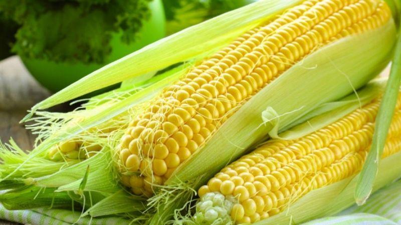 Thời điểm nào trong ngày ăn bắp giúp giảm cân hiệu quả nhất?