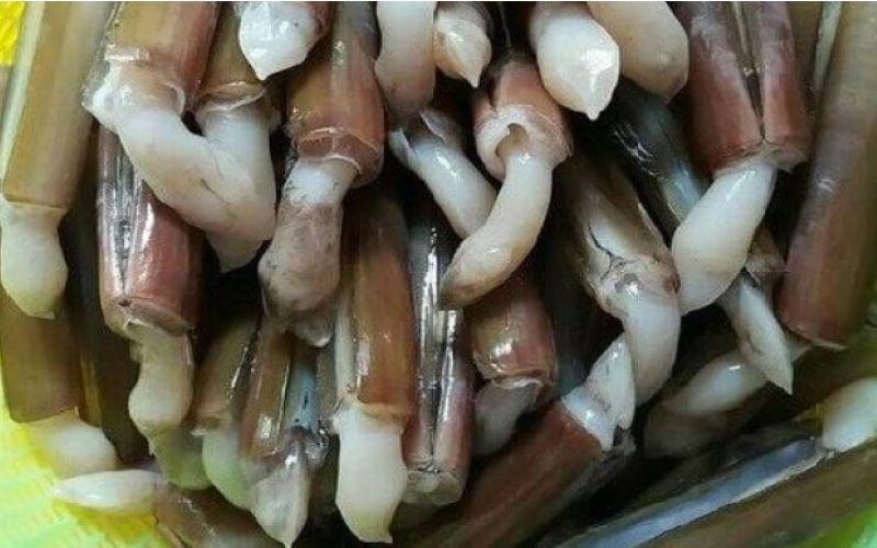 Ốc móng tay: Những lợi ích tuyệt vời và cách chế biến độc đáo