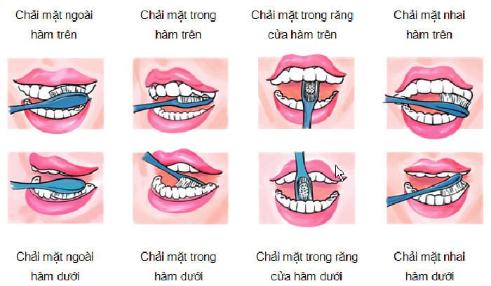 Kỹ thuật đánh răng chuẩn và những điều cần lưu ý khi thực hiện