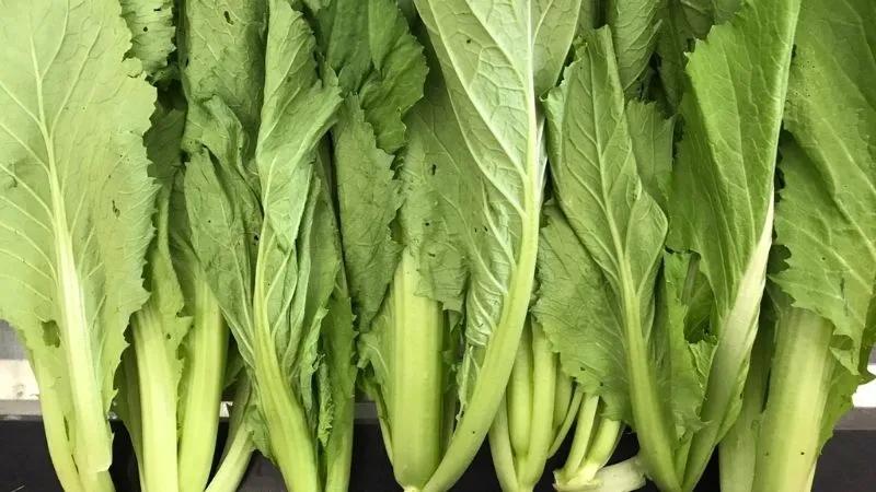 Mẹo chọn cải bẹ xanh tươi ngon và an toàn
