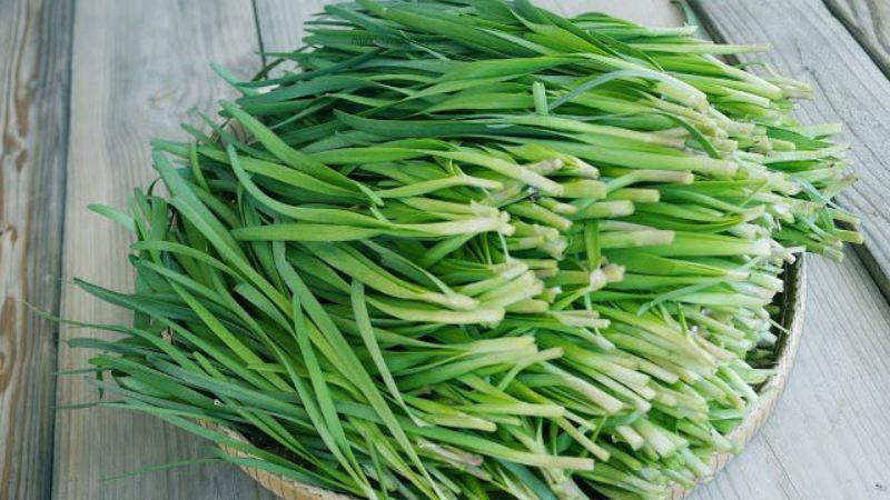 Thay vì sử dụng hành lá, bạn có thể thử ngay loại rau này để chiên cùng trứng, vừa ngon miệng lại tốt cho sức khỏe.