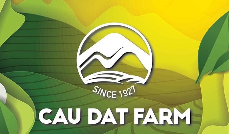 Trà Cầu Đất có thực sự mang lại lợi ích? Hãy cùng khám phá các loại trà đặc trưng và những công dụng tuyệt vời của chúng.