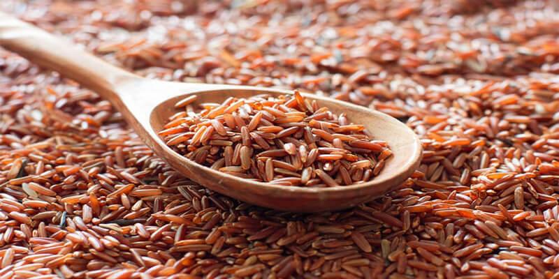 Gạo lứt mang lại những lợi ích gì cho bé?