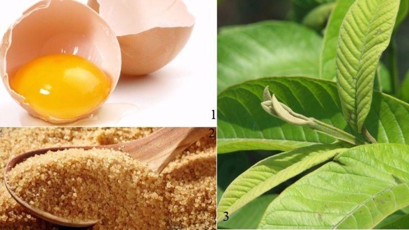 Khám phá bí quyết làm đẹp từ lá ổi tuyệt vời