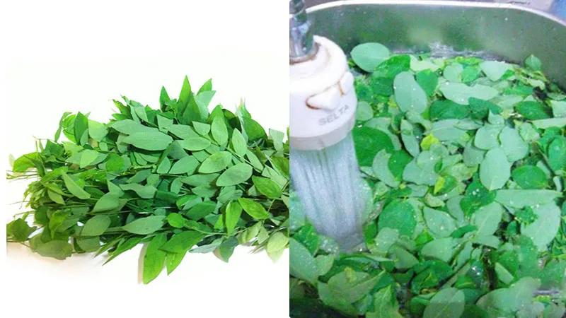 Chỉ cần uống nước ép rau ngót mỗi ngày, bạn sẽ dễ dàng giảm từ 2-3kg, mang lại một cơ thể khỏe mạnh và tràn đầy năng lượng.