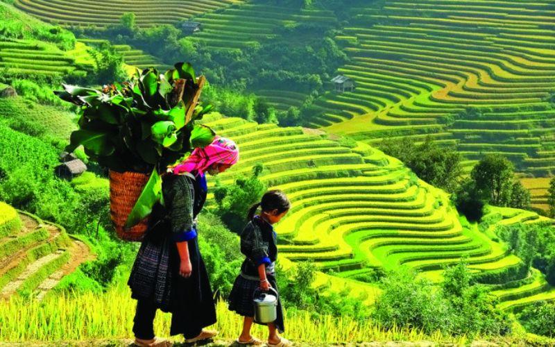 6 điểm đến nổi bật tại Văn Chấn (Yên Bái) được du khách tìm kiếm nhiều nhất