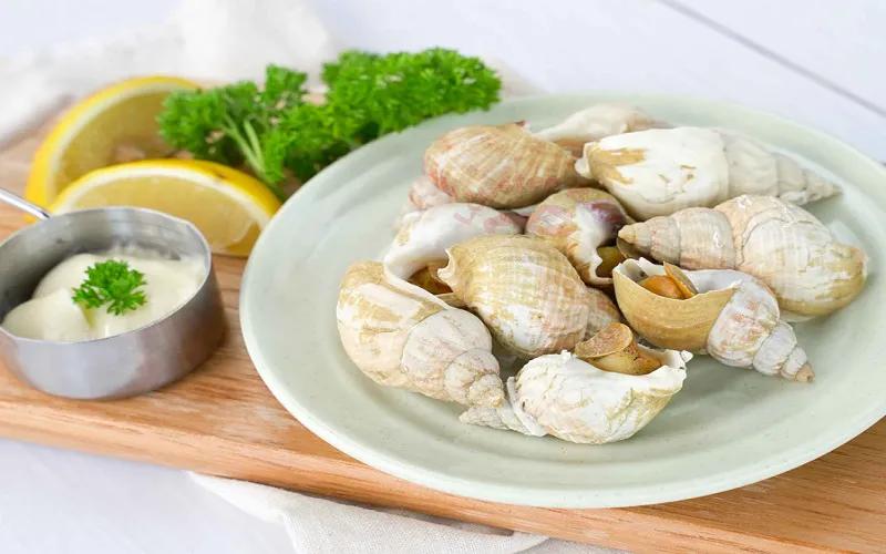 Ốc Bulot Pháp là loài ốc gì mà dù có giá lên đến 500.000đ/kg, vẫn thu hút được những tín đồ ẩm thực yêu thích?