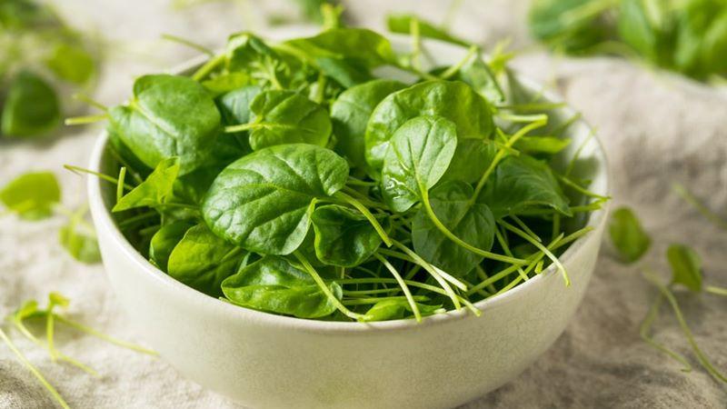 Bà bầu có nên ăn xà lách xoong? Những lợi ích không thể bỏ qua khi bà bầu ăn xà lách xoong
