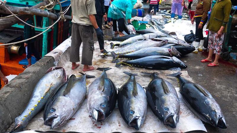 Bò gù là tên gọi khác của đặc sản nổi tiếng nào ở Phú Yên?