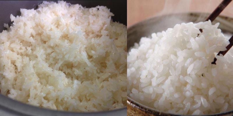 Cơm nếp hay cơm tẻ, loại nào mang lại giá trị dinh dưỡng vượt trội?