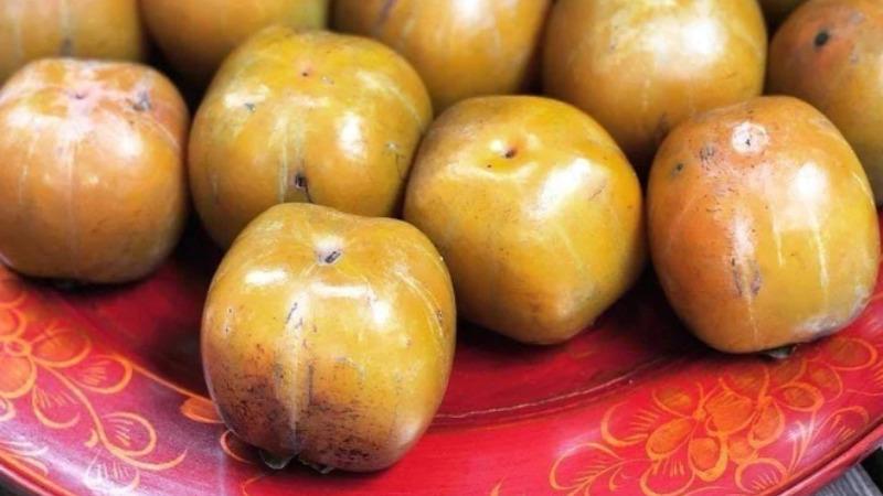 Loại quả đặc sản vùng quê, được những người sành ăn săn tìm, phải đặt trước cả tháng mới có cơ hội thưởng thức.