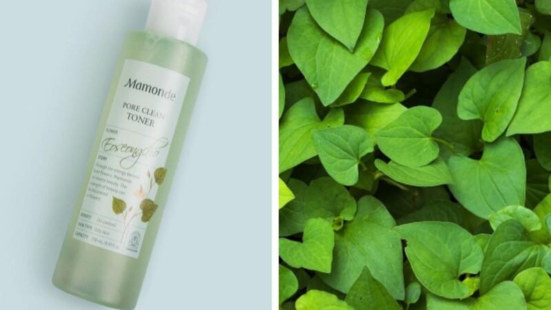 Khám phá 2 dòng toner diếp cá giúp làm sáng da và mờ thâm hiệu quả, mang lại làn da đều màu và tươi mới.
