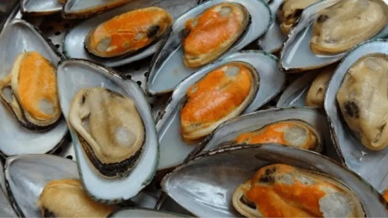 Bà bầu nên ăn chem chép như thế nào để đảm bảo an toàn cho thai nhi?