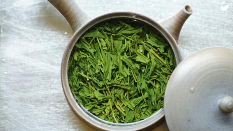 Trà Sencha là gì? Khám phá những lợi ích tuyệt vời của trà xanh Nhật Bản