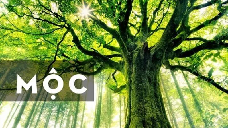 Người sinh năm 1988 thuộc mệnh gì? Tuổi nào hợp và hướng nào mang lại may mắn? Cùng khám phá ngay trong bài viết này để tìm câu trả lời.