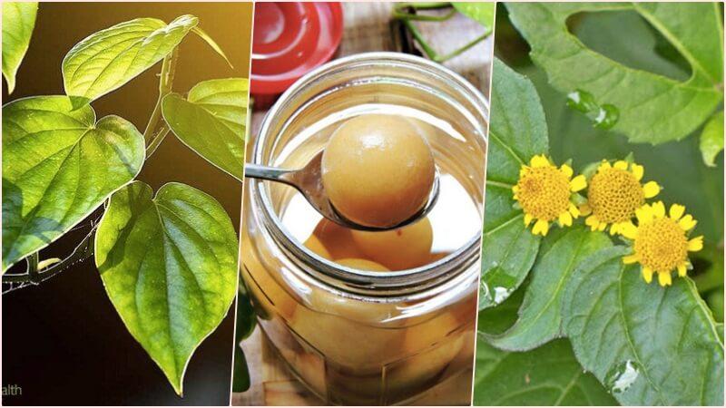 Khám phá cách tự làm kem đánh răng từ loại lá dễ tìm ngoài chợ, mang đến một giải pháp tự nhiên giúp bảo vệ và duy trì hàm răng trắng sáng khỏe mạnh.