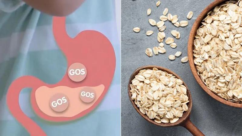 Chất GOS là gì và những lợi ích tuyệt vời của nó đối với sức khoẻ?